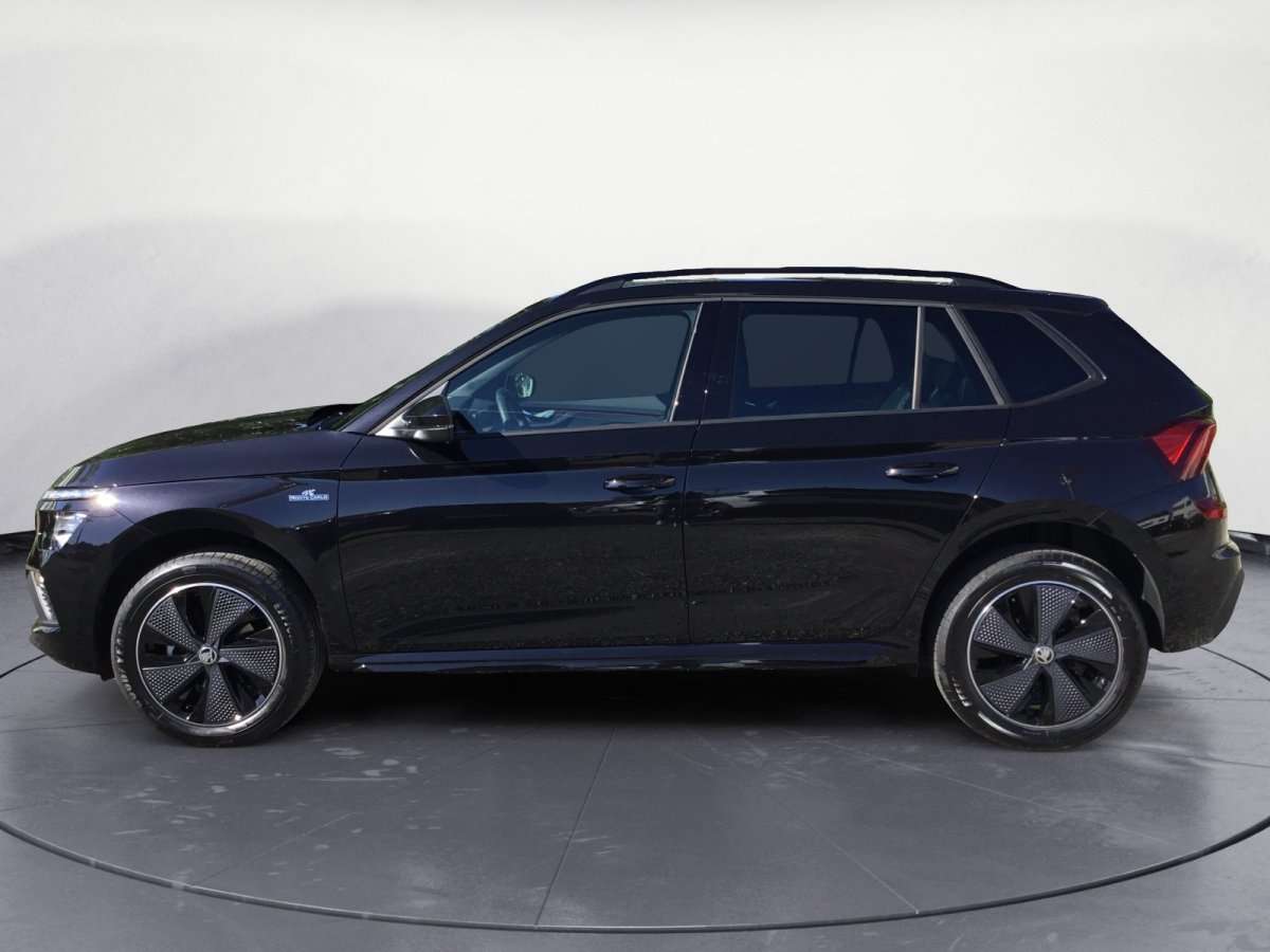 Fahrzeugbild eines Skoda Kamiq