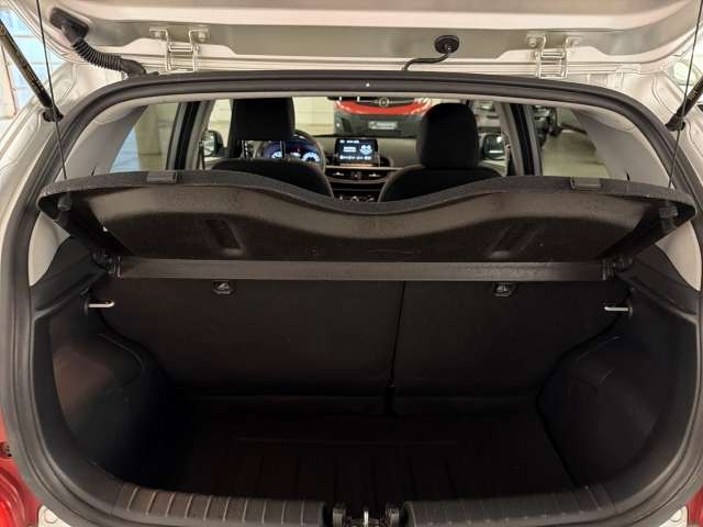 Fahrzeugbild eines Kia Picanto