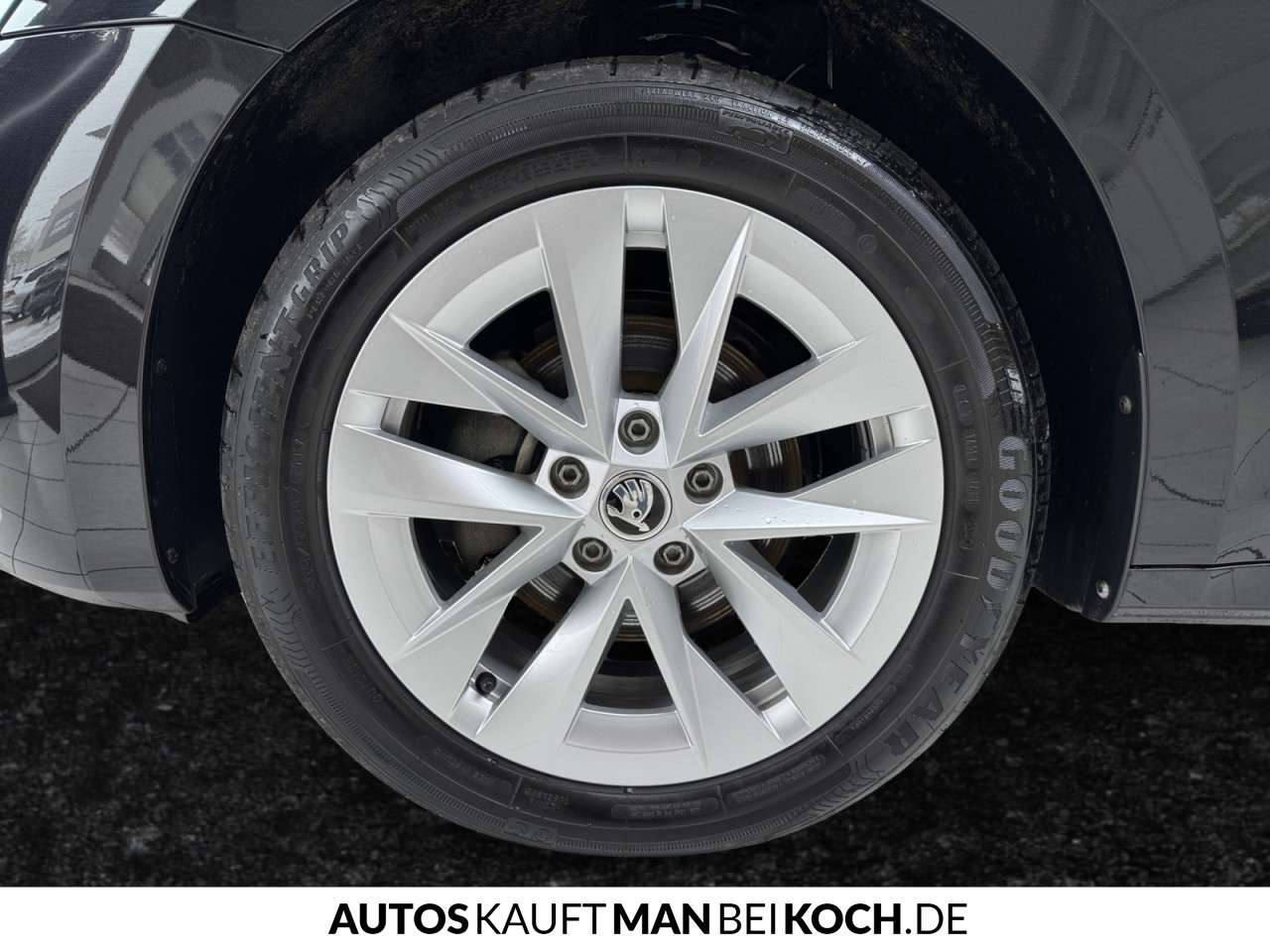 Fahrzeugbild eines Skoda Octavia