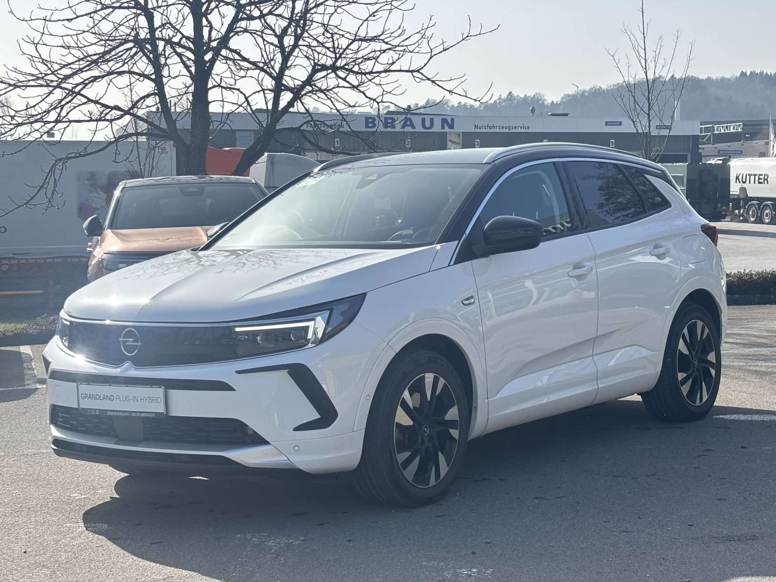 Fahrzeugbild eines Opel Grandland X