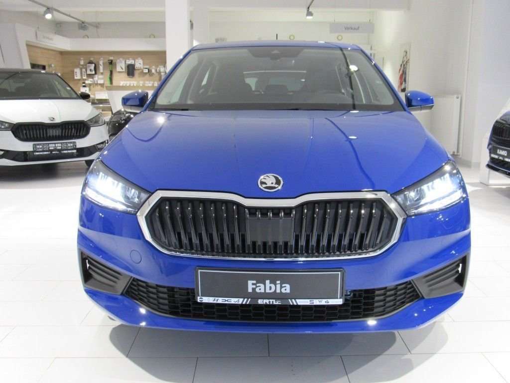 Fahrzeugbild eines Skoda Fabia