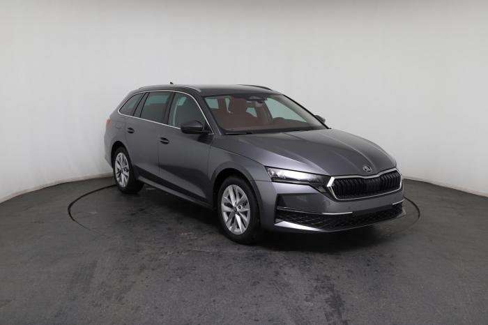 Fahrzeugbild eines Skoda Octavia