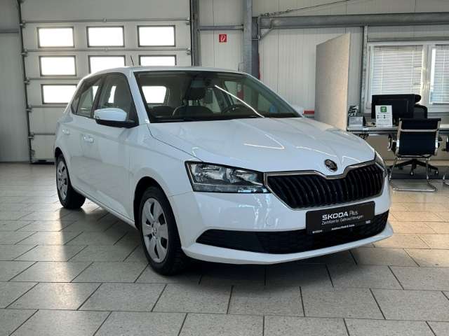 Fahrzeugbild eines Skoda Fabia