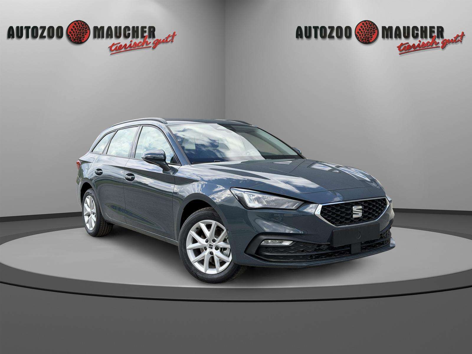 Fahrzeugbild eines SEAT Leon