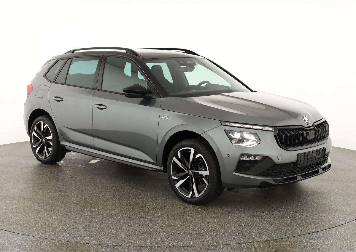 Fahrzeugbild eines Skoda Kamiq