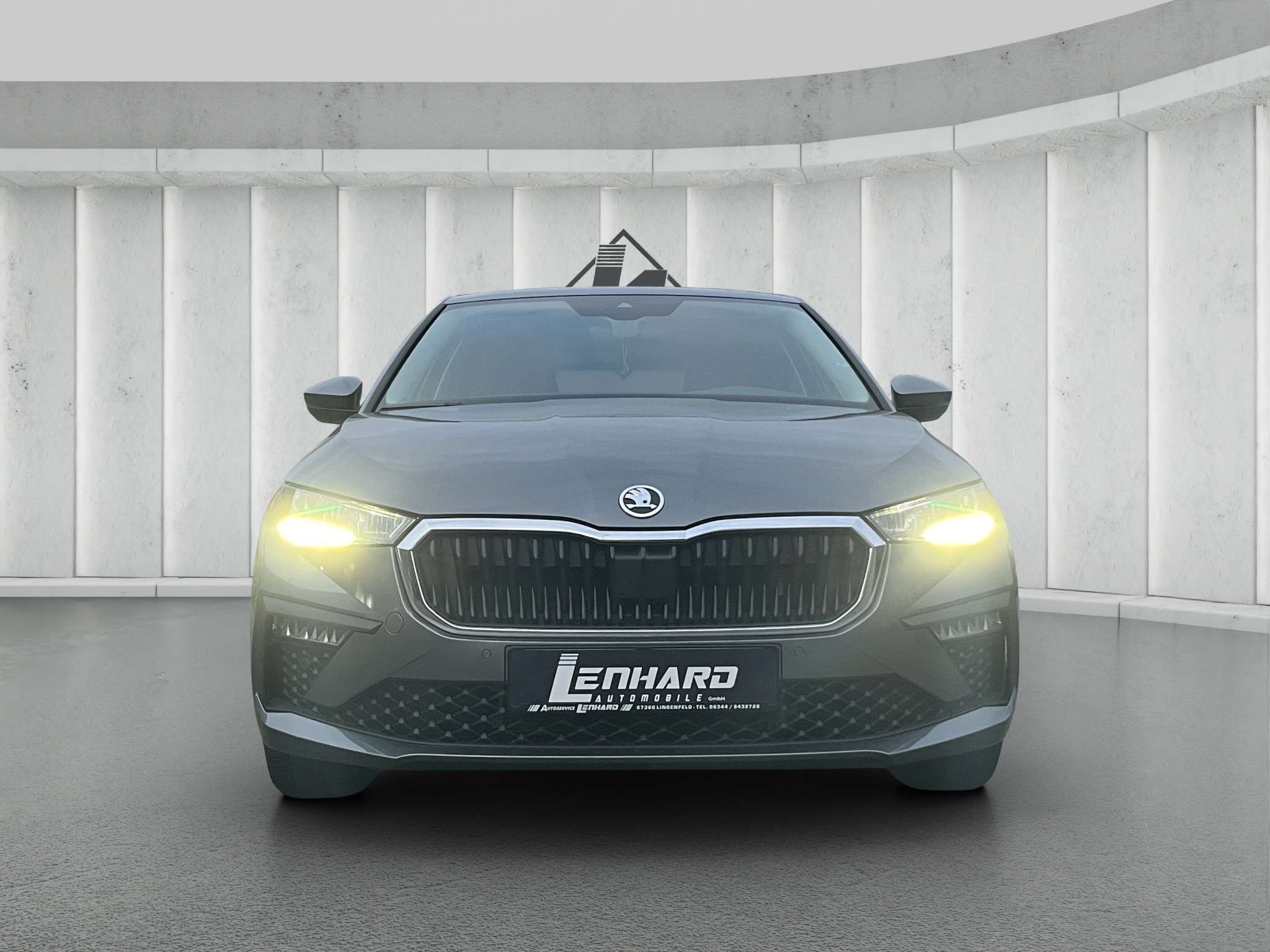 Fahrzeugbild eines Skoda Scala