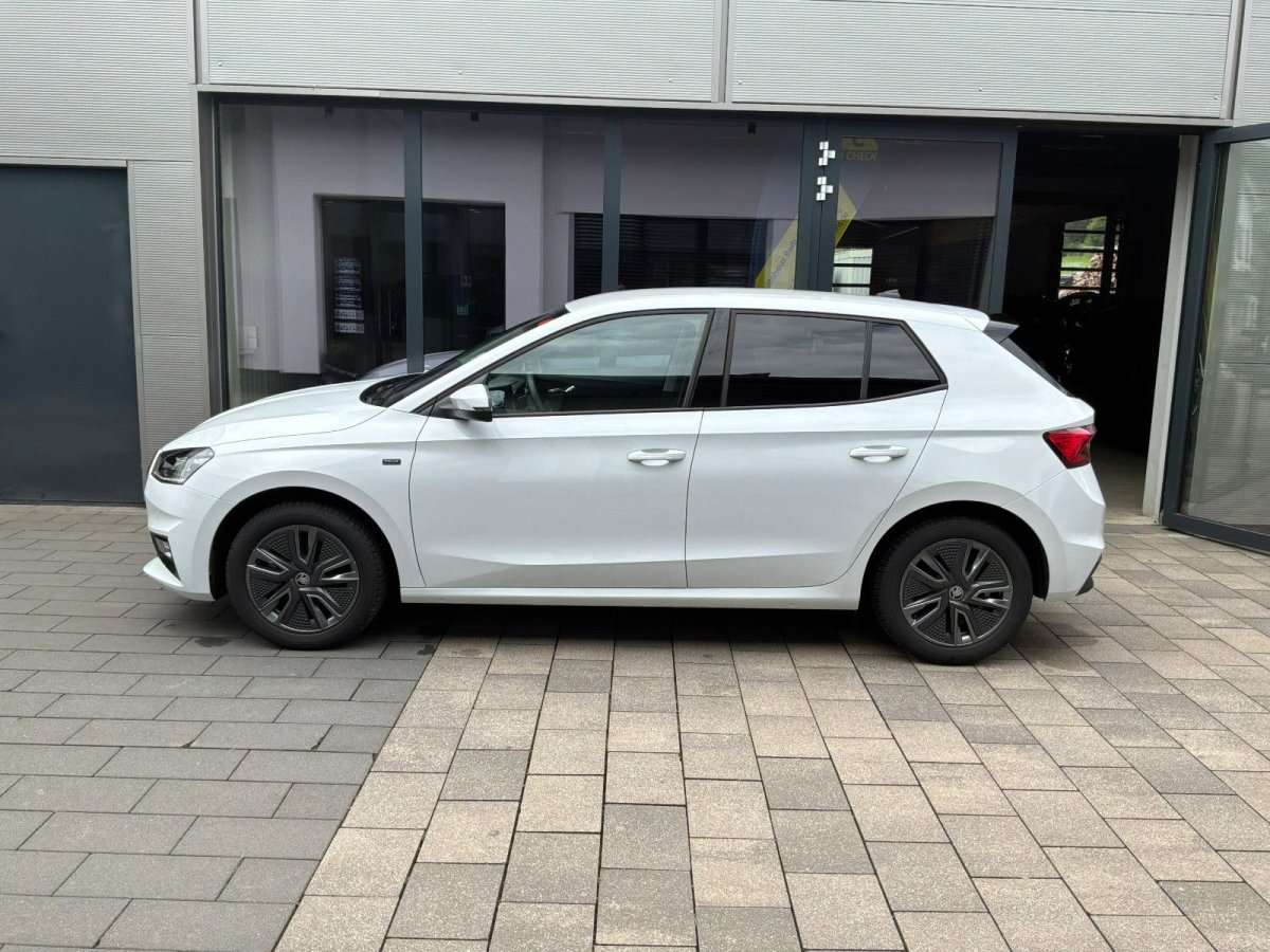 Fahrzeugbild eines Skoda Fabia