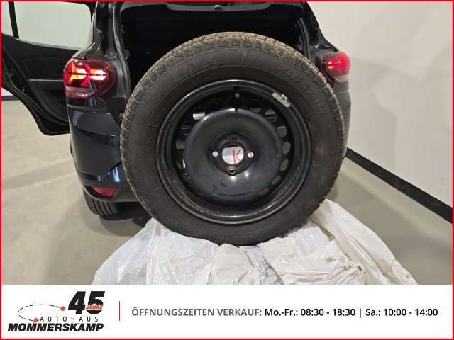 Fahrzeugbild eines Dacia Sandero