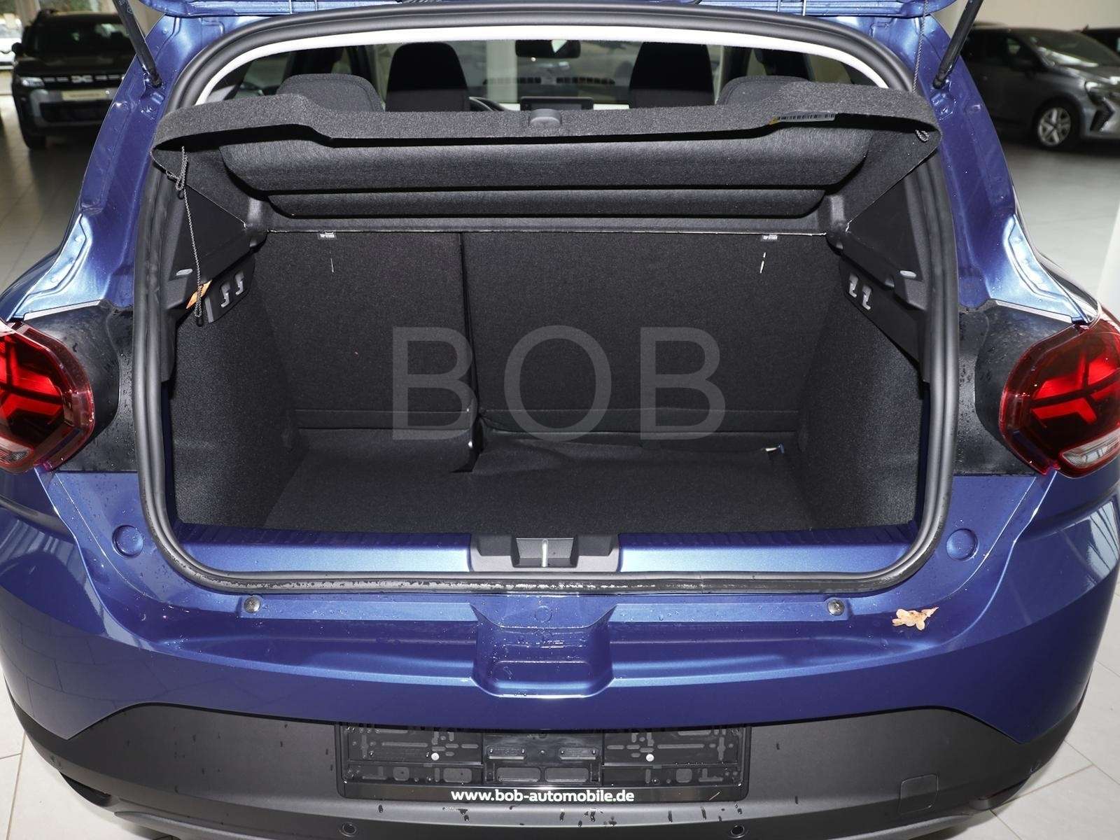 Fahrzeugbild eines Dacia Sandero