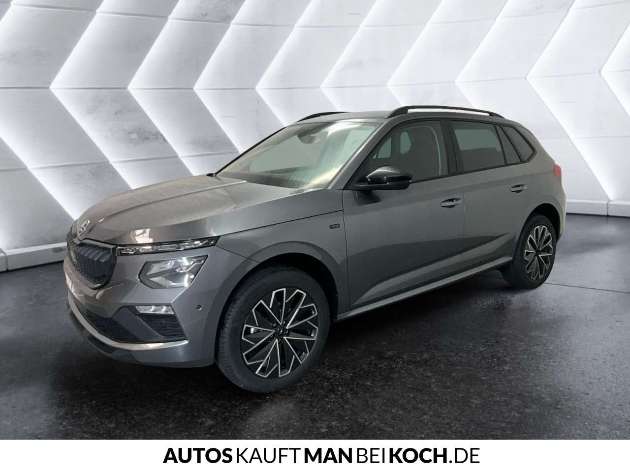 Fahrzeugbild eines Skoda Kamiq