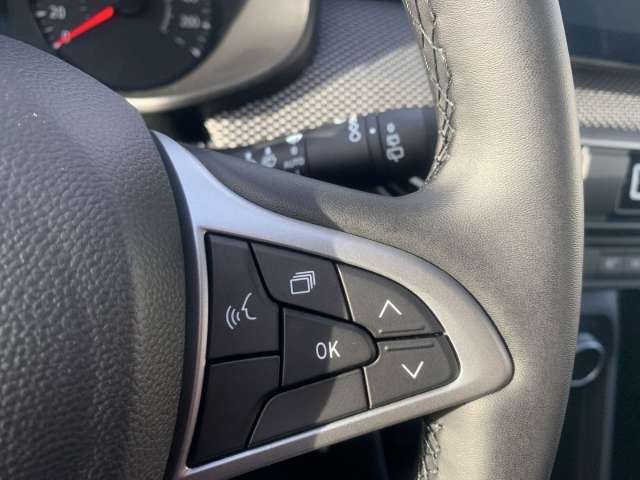 Fahrzeugbild eines Dacia Sandero