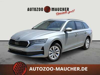 Bild Skoda Octavia