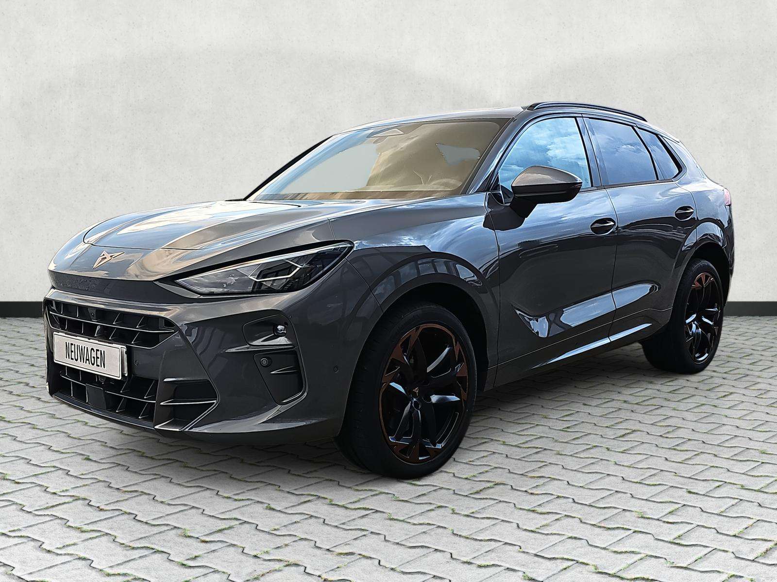 Fahrzeugbild eines CUPRA Terramar