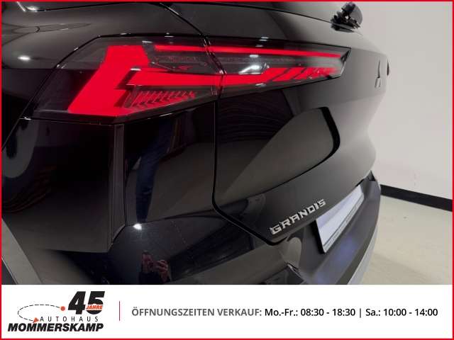 Fahrzeugbild eines Mitsubishi Grandis