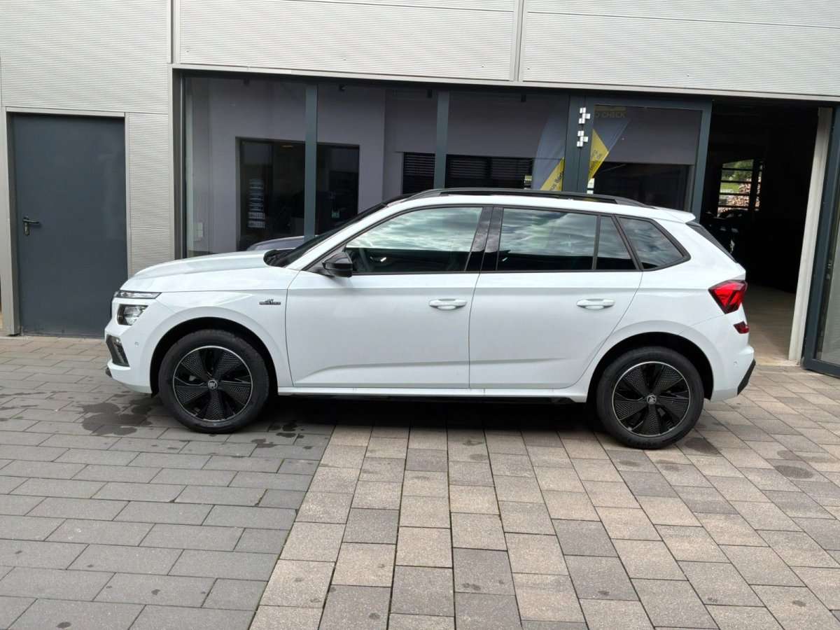 Fahrzeugbild eines Skoda Kamiq