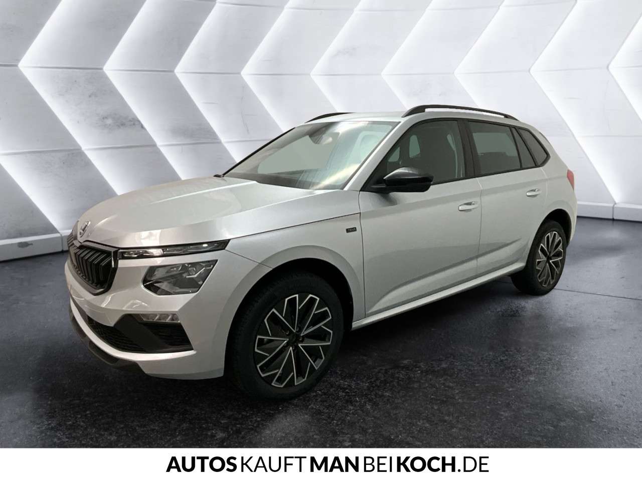 Fahrzeugbild eines Skoda Kamiq