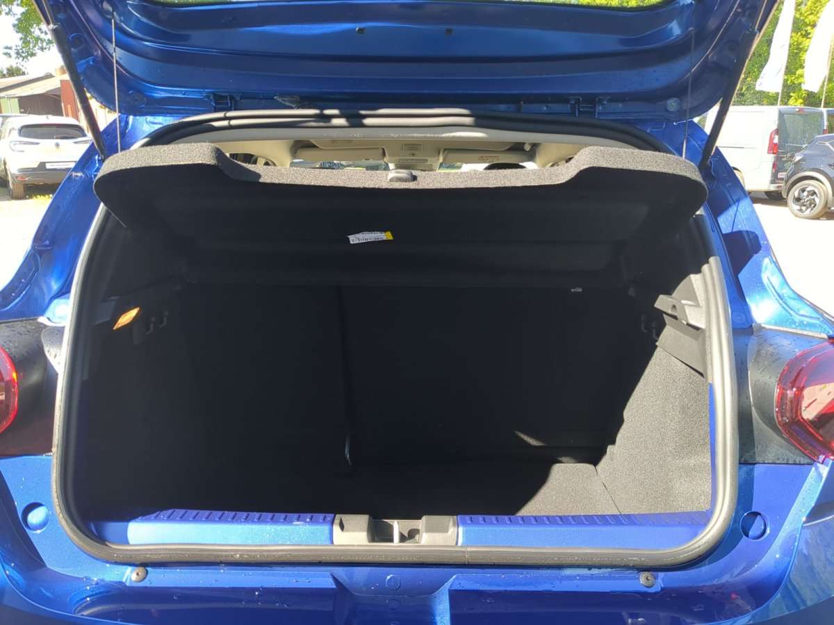 Fahrzeugbild eines Dacia Sandero