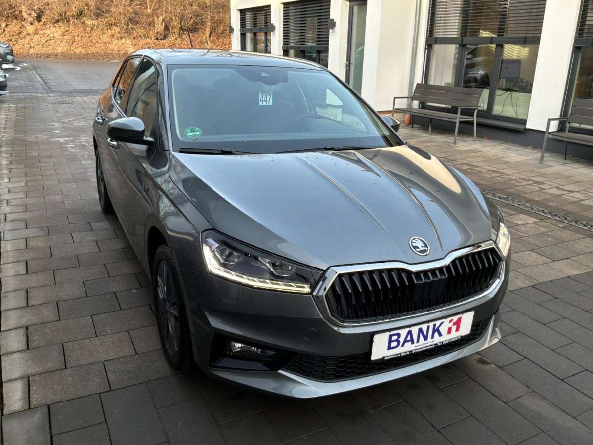 Fahrzeugbild eines Skoda Fabia