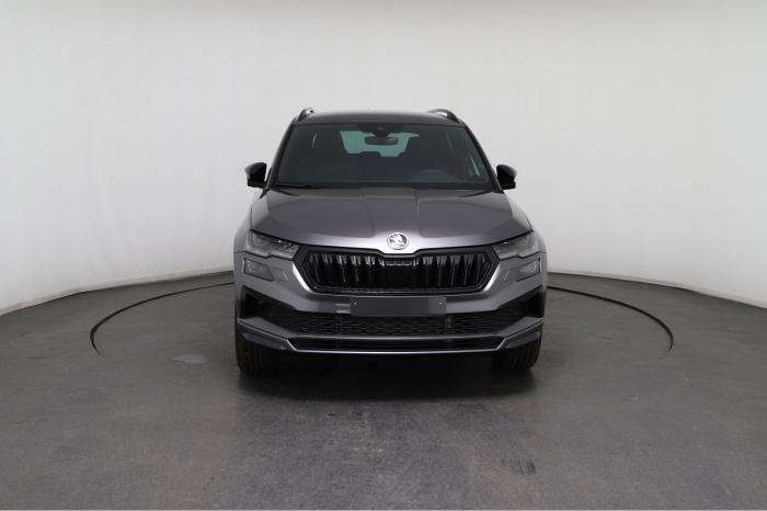 Fahrzeugbild eines Skoda Karoq