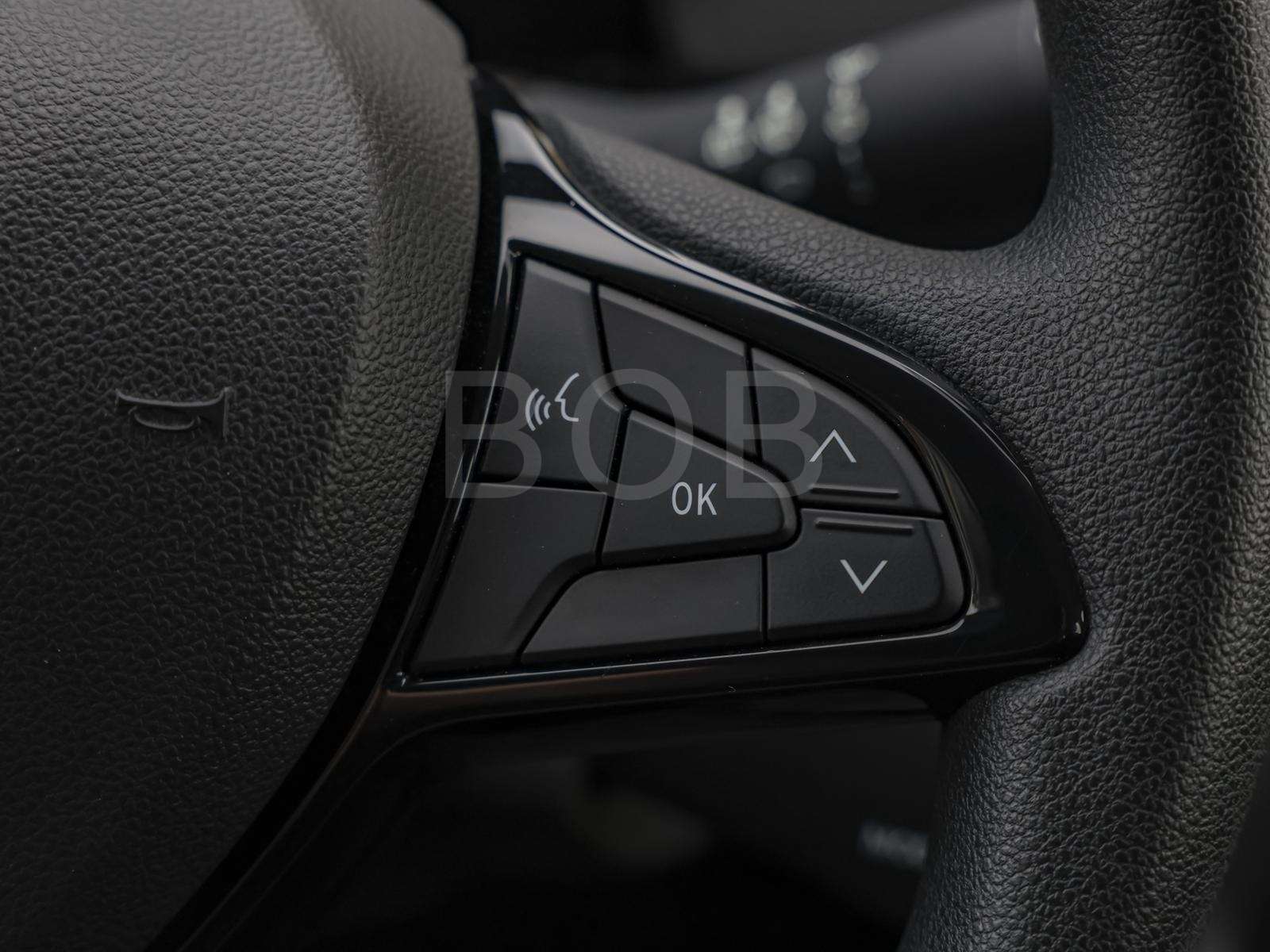 Fahrzeugbild eines Dacia Sandero