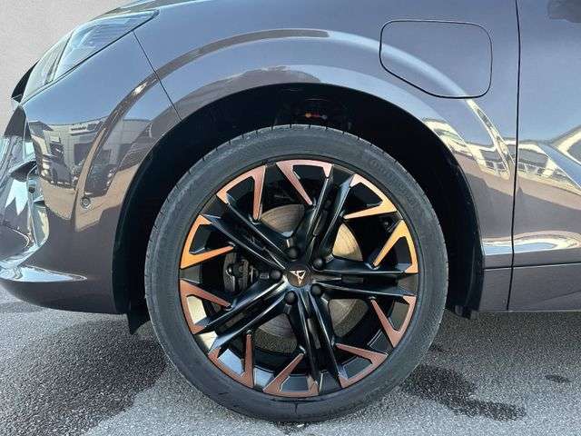 Fahrzeugbild eines CUPRA Terramar