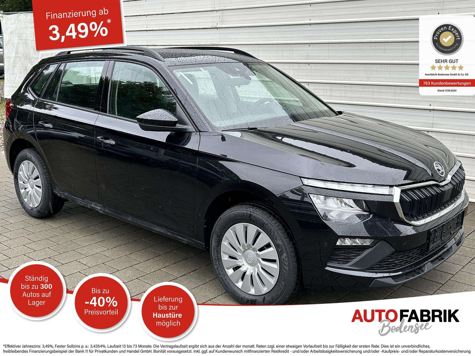 Fahrzeugbild eines Skoda Kamiq