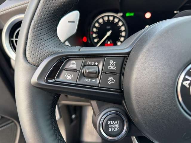 Fahrzeugbild eines Alfa Romeo Stelvio