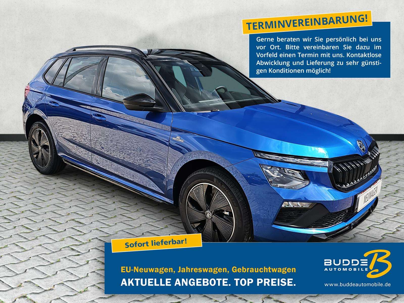 Fahrzeugbild eines Skoda Kamiq