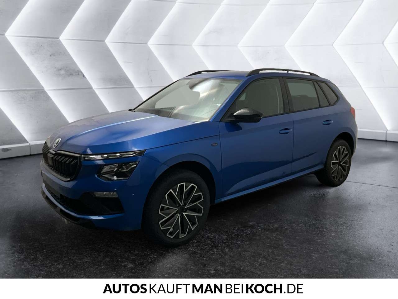 Fahrzeugbild eines Skoda Kamiq