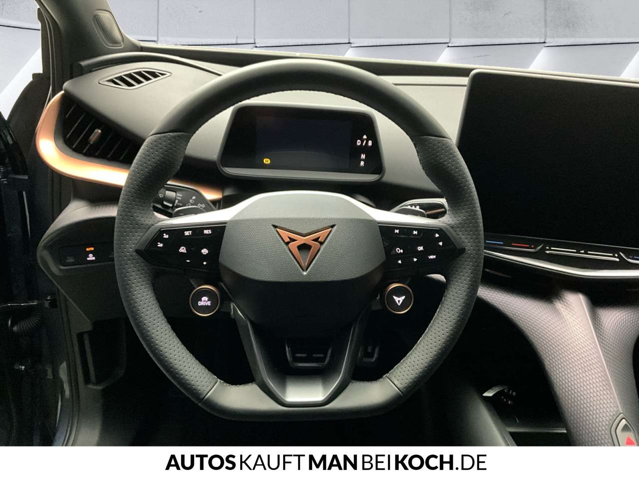 Fahrzeugbild eines CUPRA Tavascan