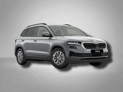 Bild Skoda Karoq