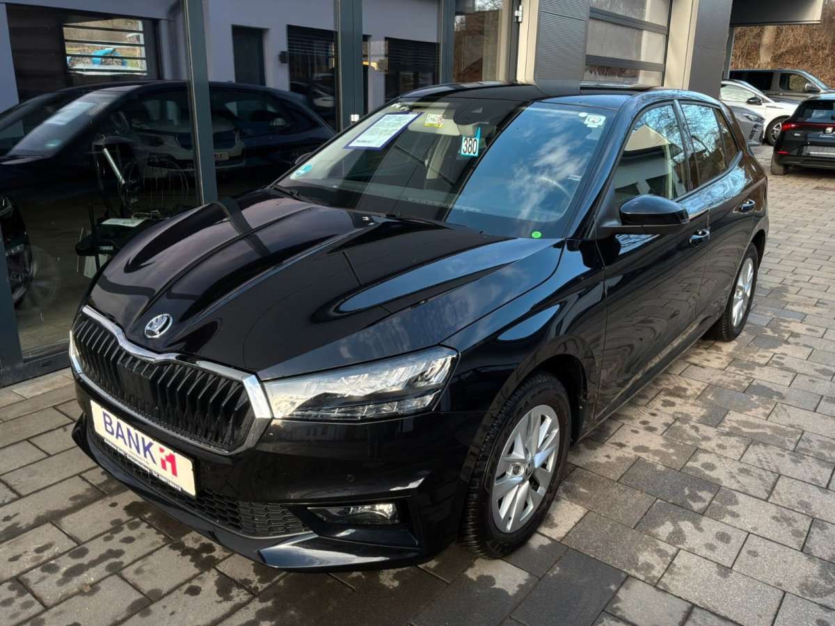 Fahrzeugbild eines Skoda Fabia