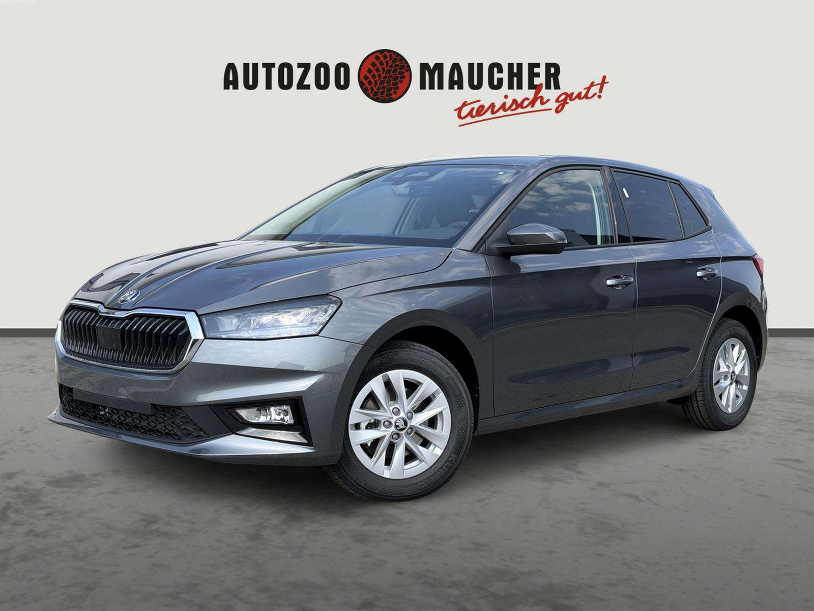 Fahrzeugbild eines Skoda Fabia