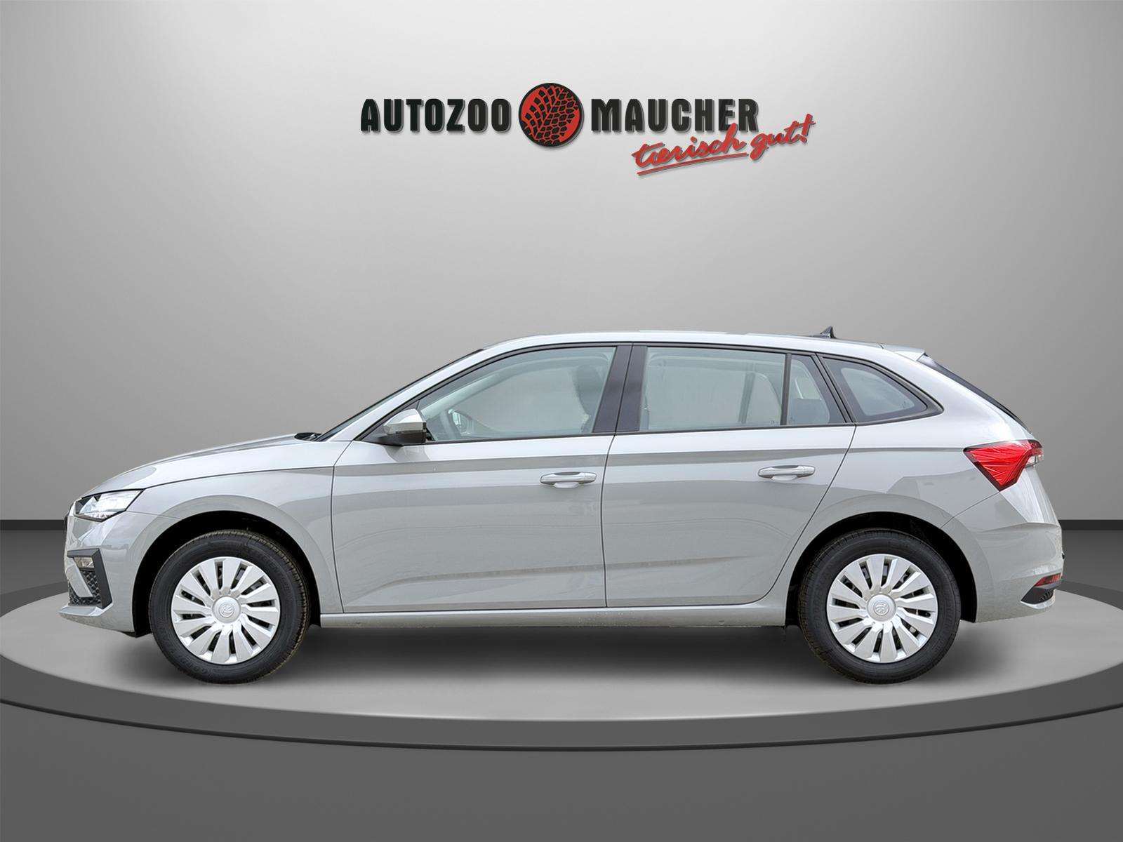 Fahrzeugbild eines Skoda Scala