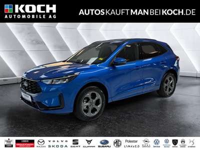 Bild Ford Kuga