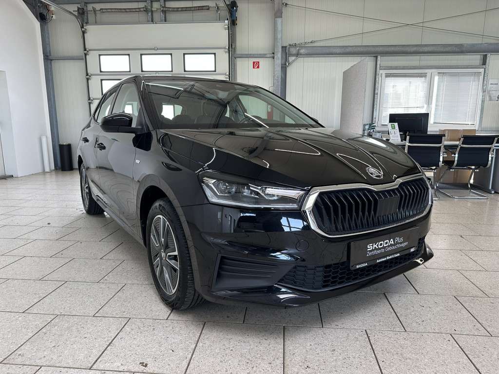 Fahrzeugbild eines Skoda Fabia