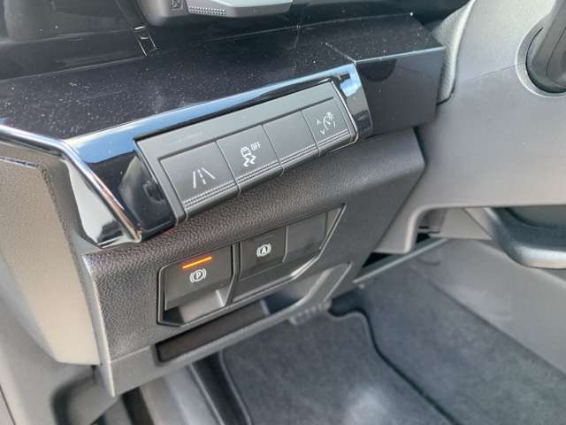 Fahrzeugbild eines Renault Austral