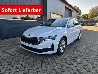 Bild Skoda Octavia