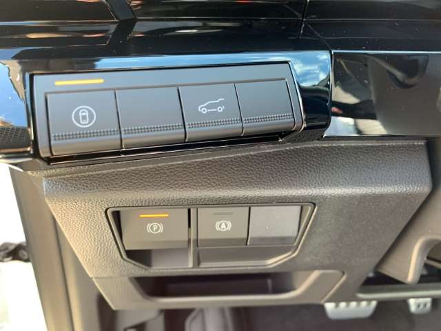 Fahrzeugbild eines Renault Austral