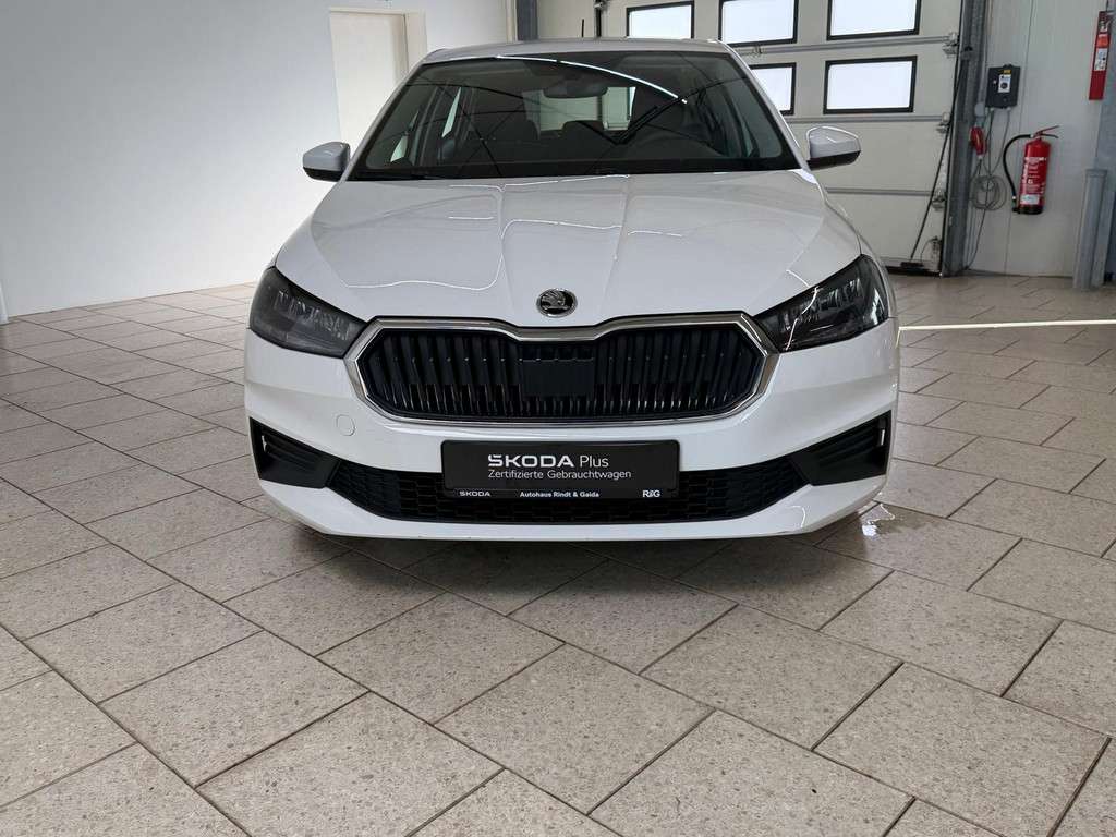 Fahrzeugbild eines Skoda Fabia
