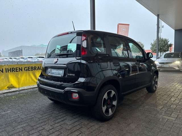 Fahrzeugbild eines Fiat Panda