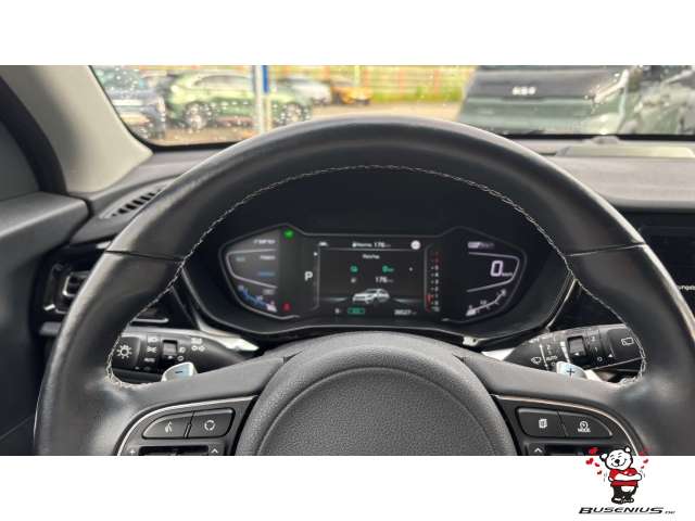 Fahrzeugbild eines Kia Niro
