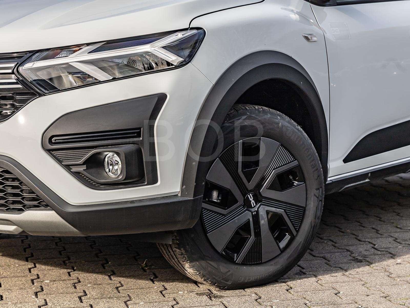 Fahrzeugbild eines Dacia Sandero