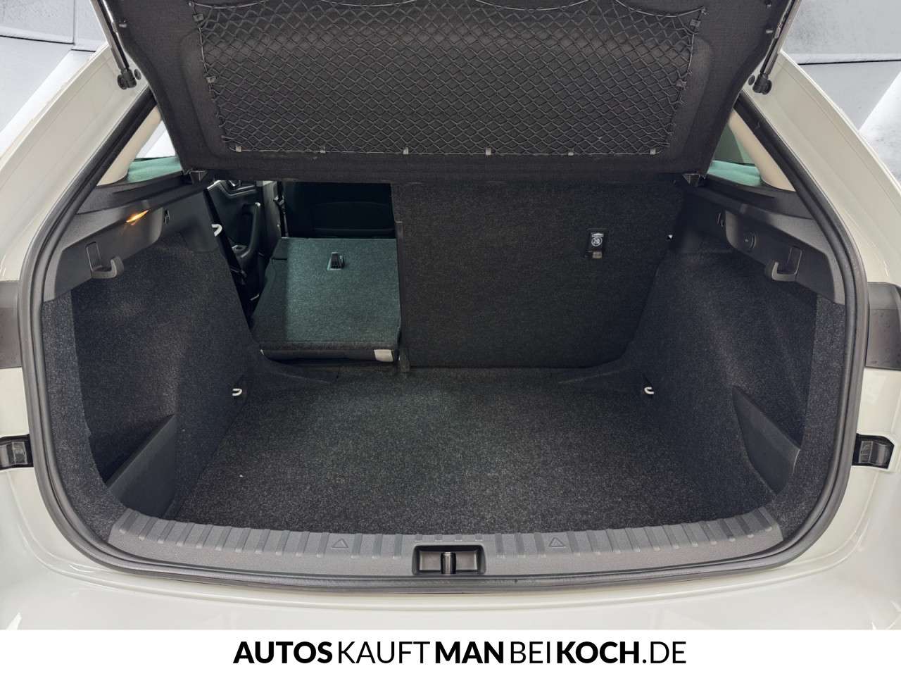 Fahrzeugbild eines Skoda Scala