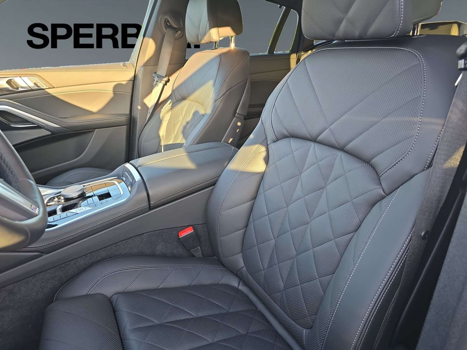 Fahrzeugbild eines BMW X6