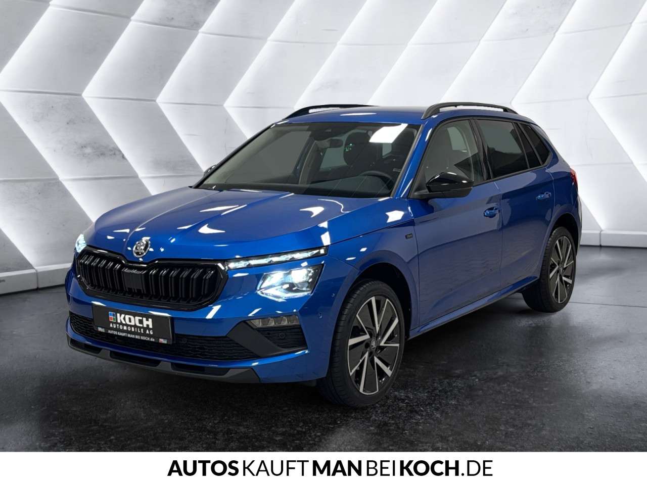 Fahrzeugbild eines Skoda Kamiq