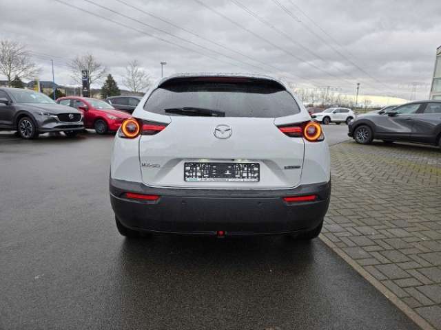 Fahrzeugbild eines Mazda MX-30