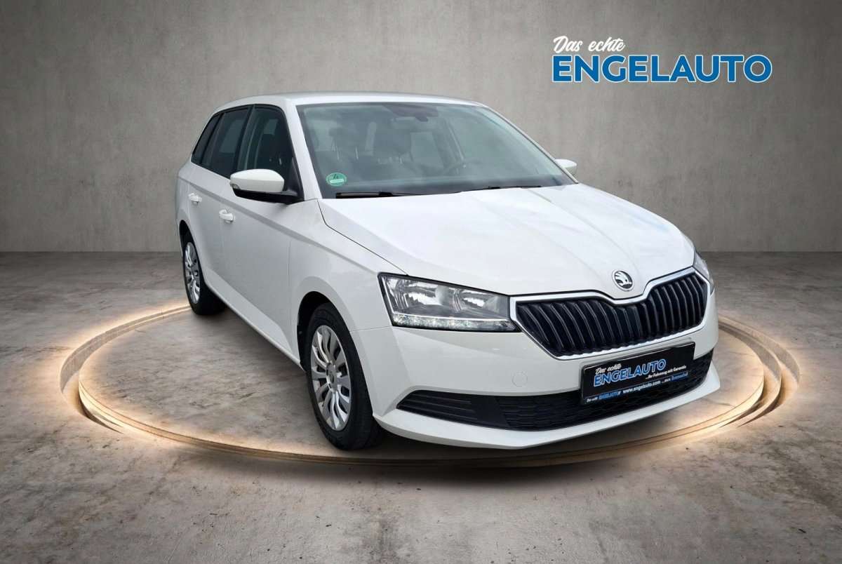 Fahrzeugbild eines Skoda Fabia
