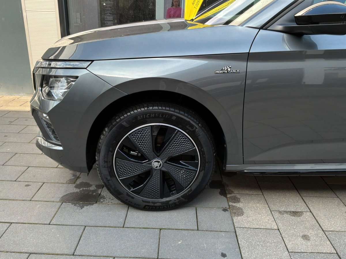 Fahrzeugbild eines Skoda Kamiq