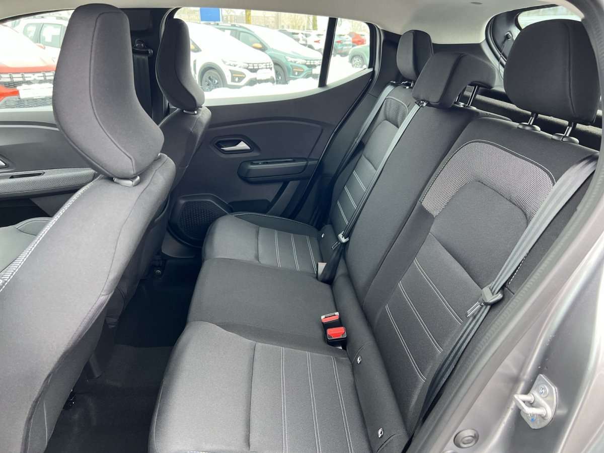 Fahrzeugbild eines Dacia Sandero